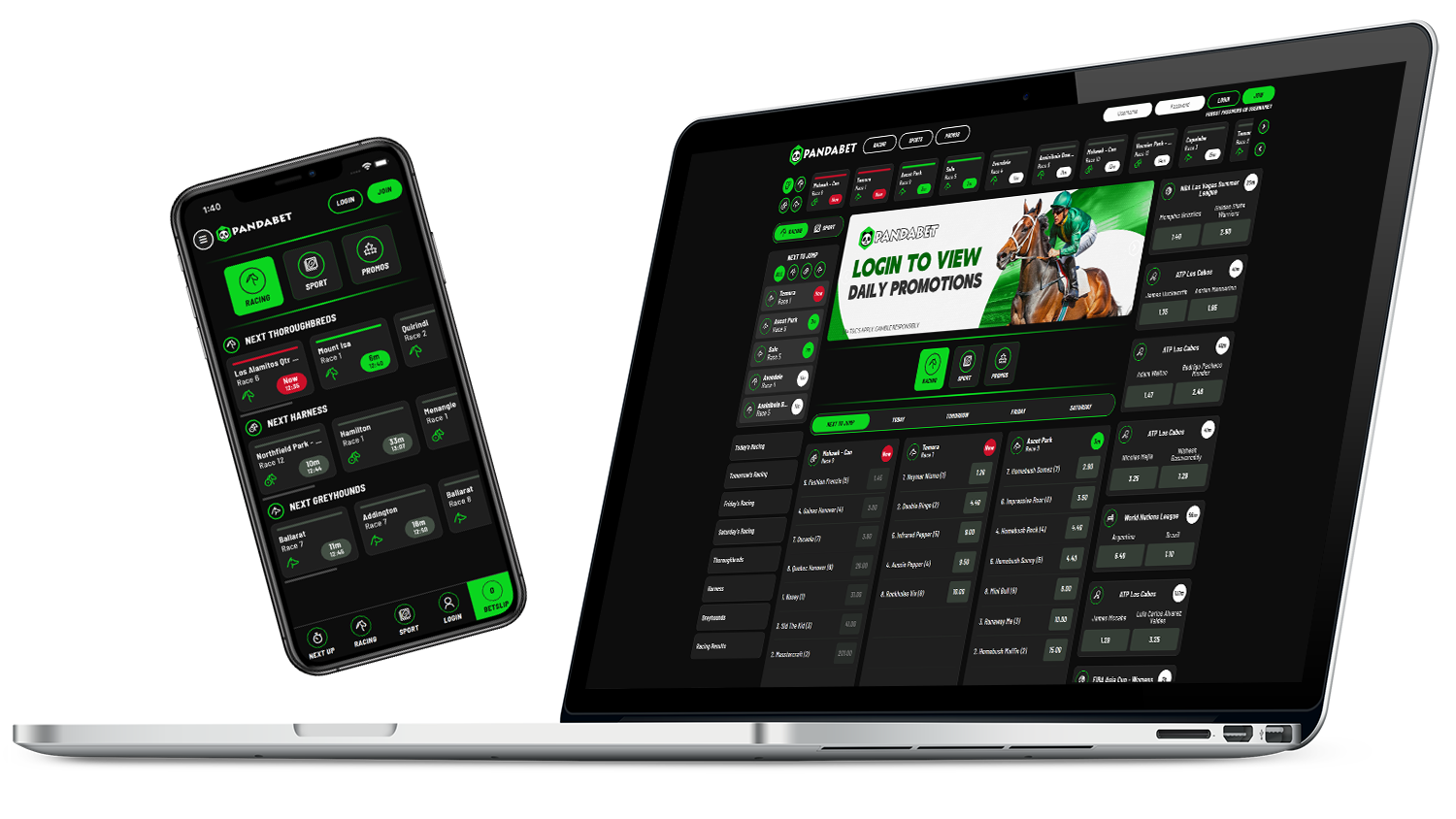 PandaBet Portfolio Scroller Image