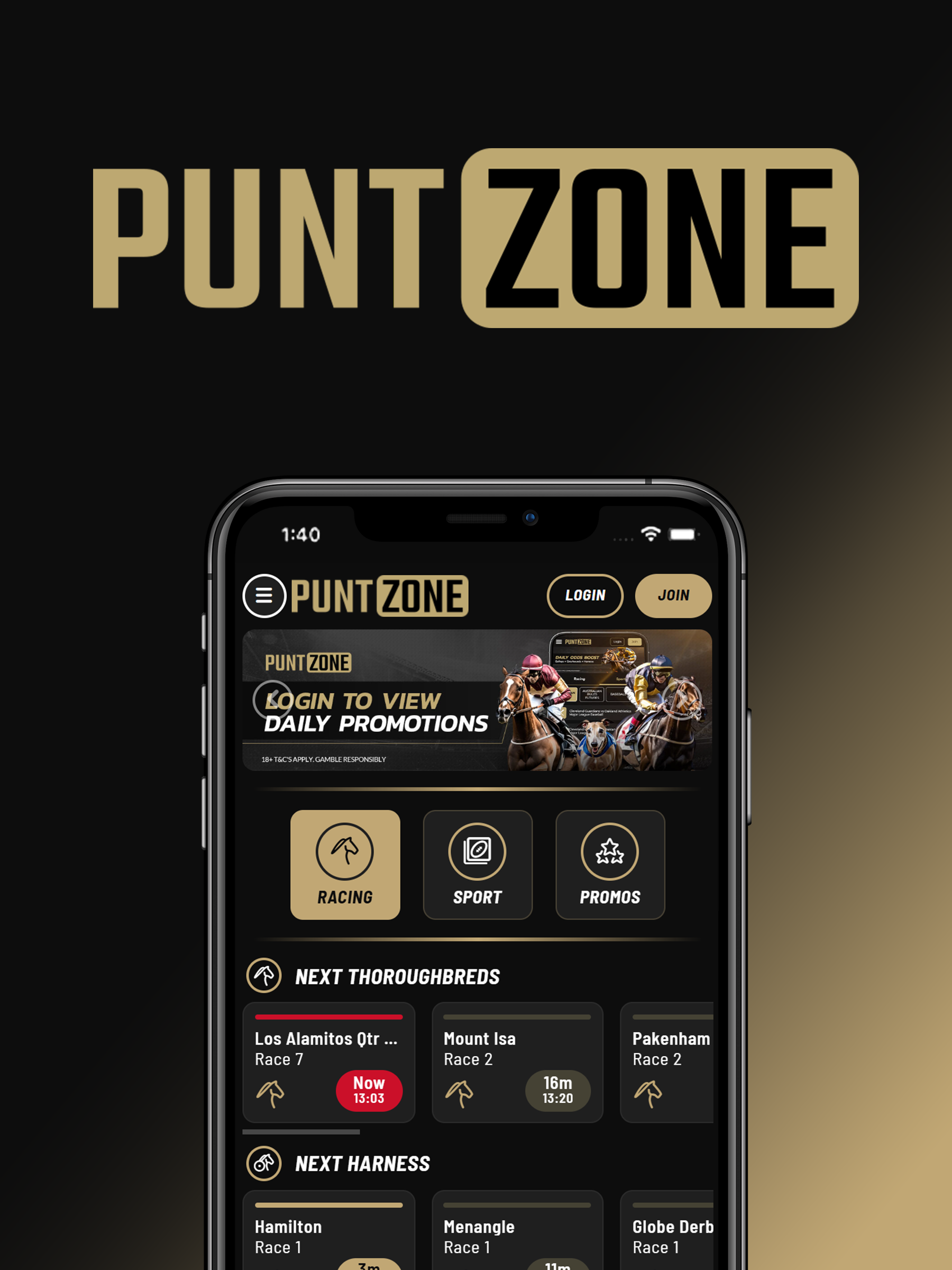 Puntzone Homepage