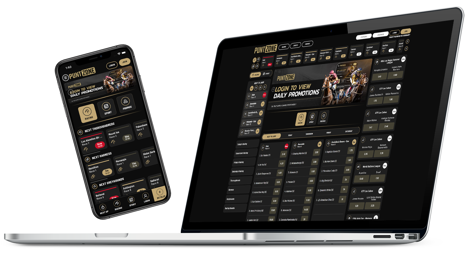 PuntZone Portfolio Scroller Image